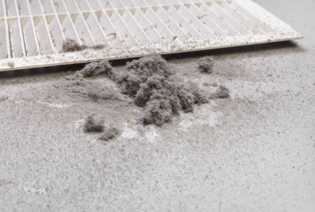 Best Air Duct Cleaning Near Me  in Robbins, IL