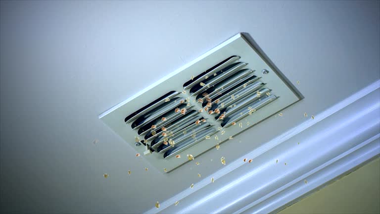 Best Local Air Duct Cleaning Services  in Robbins, IL