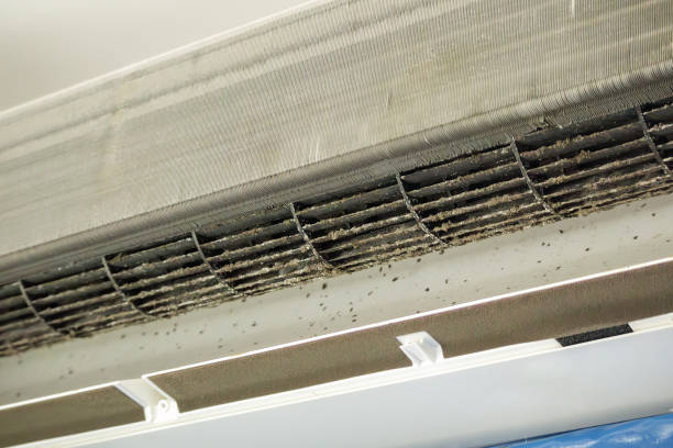 Best Ductwork Cleaning Services  in Robbins, IL